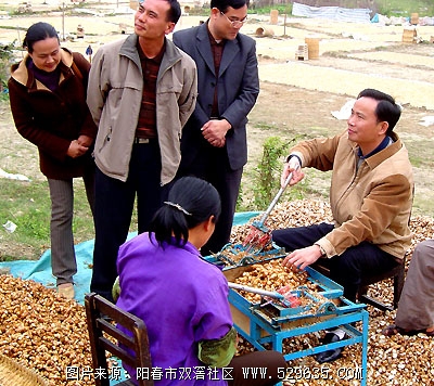 敖广恩要求要发展沙姜的加工业