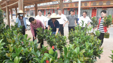双滘镇：中国银行阳春支行组织人员开展绿美生态建设行动