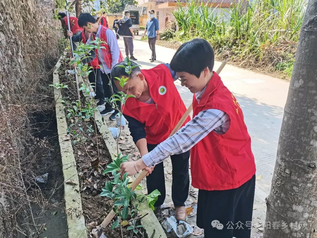 双滘镇开展植树活动，共筑阳春“百千万工程”绿色屏障
