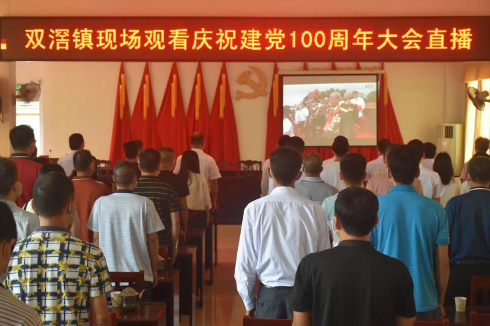 双滘镇：组织干部职工观看庆祝中国共产党成立100周年大会实况