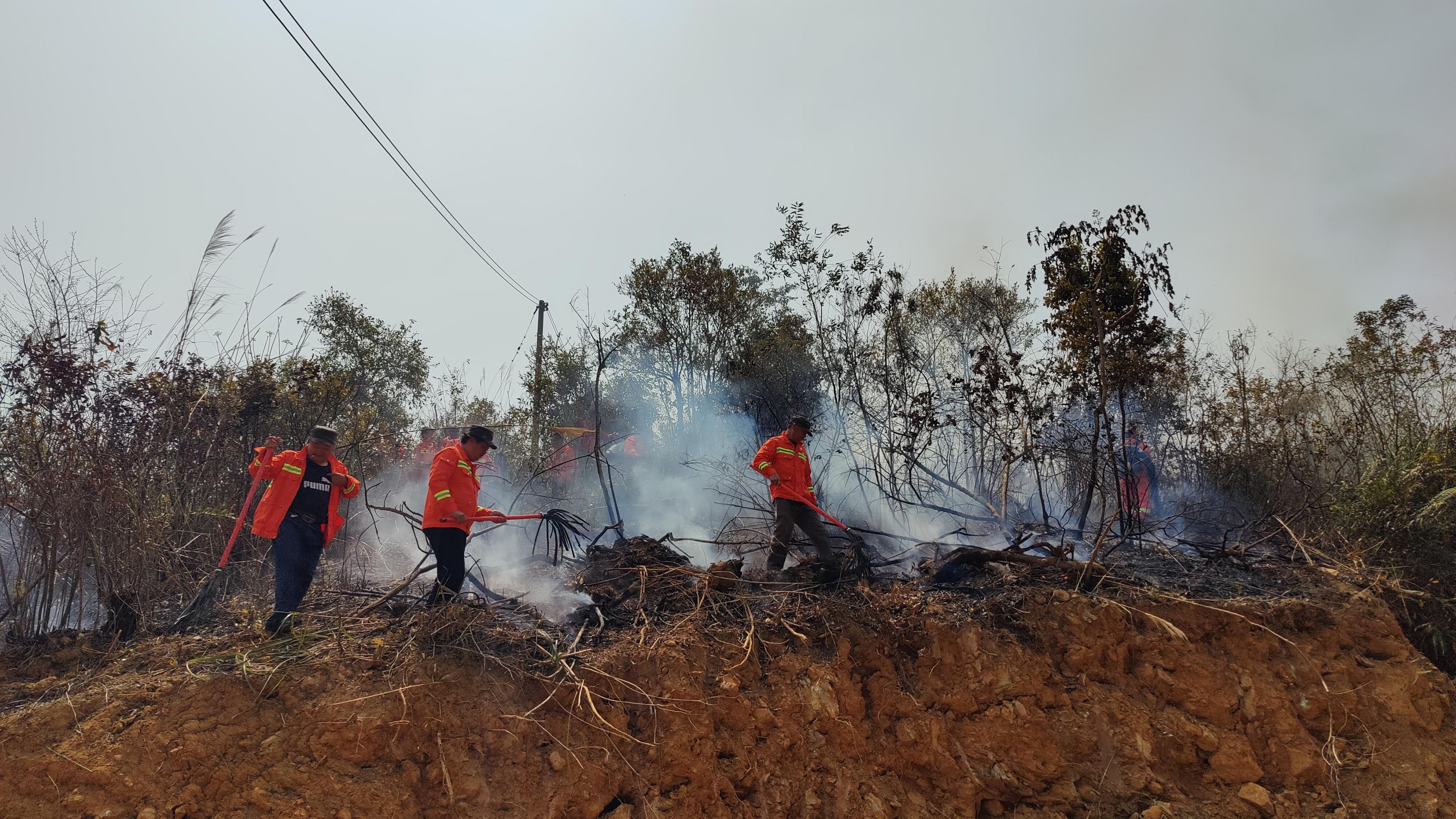 双滘镇开展2023年森林防灭火应急演练