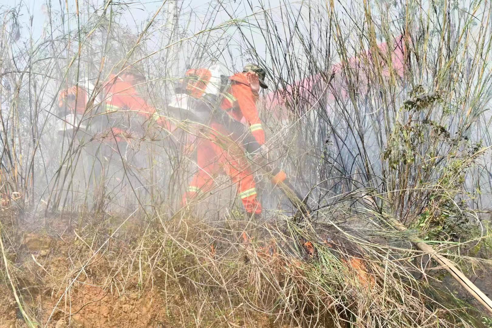双滘镇开展2023年森林防灭火应急演练