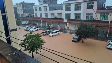 双滘镇暴雨引发洪水灾情，党委政府全力抢险救援 1