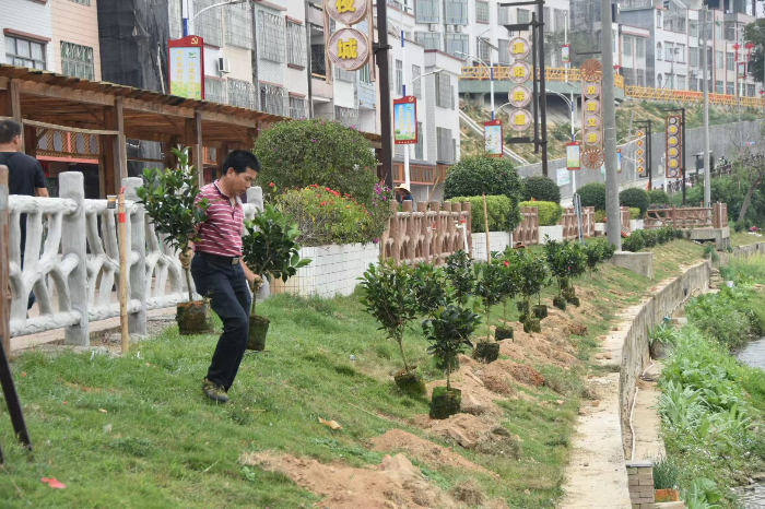 双滘镇：中国银行阳春支行组织人员开展绿美生态建设行动