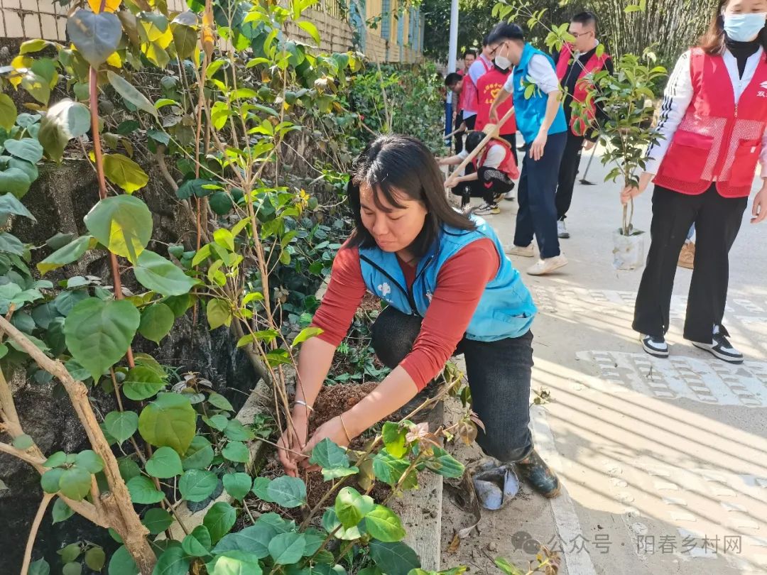 双滘镇开展植树活动，共筑阳春“百千万工程”绿色屏障