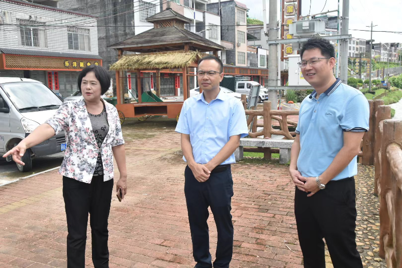 市领导到双滘镇调研美丽圩镇“七个一”建设和典型村培育创建工作