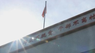 旱田村交流活动：教应携手，共筑乡村未来